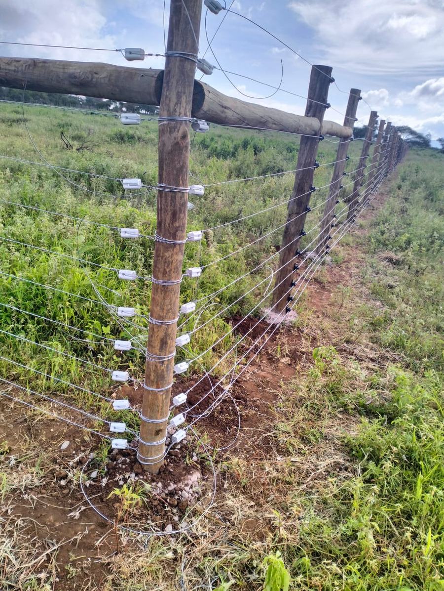 An electrified perimeter fence of wooden posts and strung wire running along the edge of the farm
