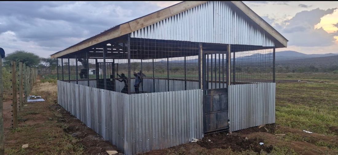 The seed room under construction at Hope Shamba: a corrugated iron and mesh structure with a pitched roof, two men working inside, hills in the distance